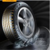 Continental ECOCONTACT 6 205/55 R16 91 V Letné